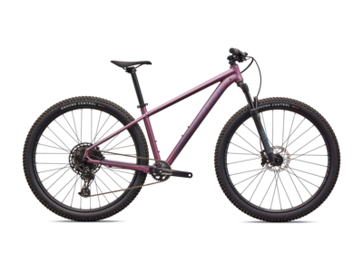 Specialized Rockhopper Expert