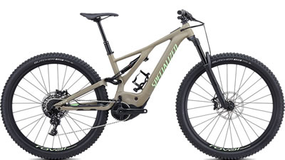 Electric Bikes